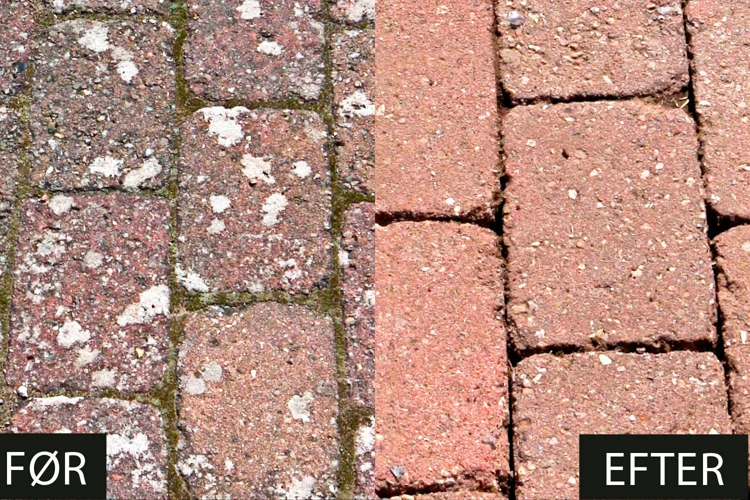 Terrassevasker klarer sig bedst i første omgang mod flisepesten FLISEPEST: Terrassevasker klarer sig bedst i første omgang